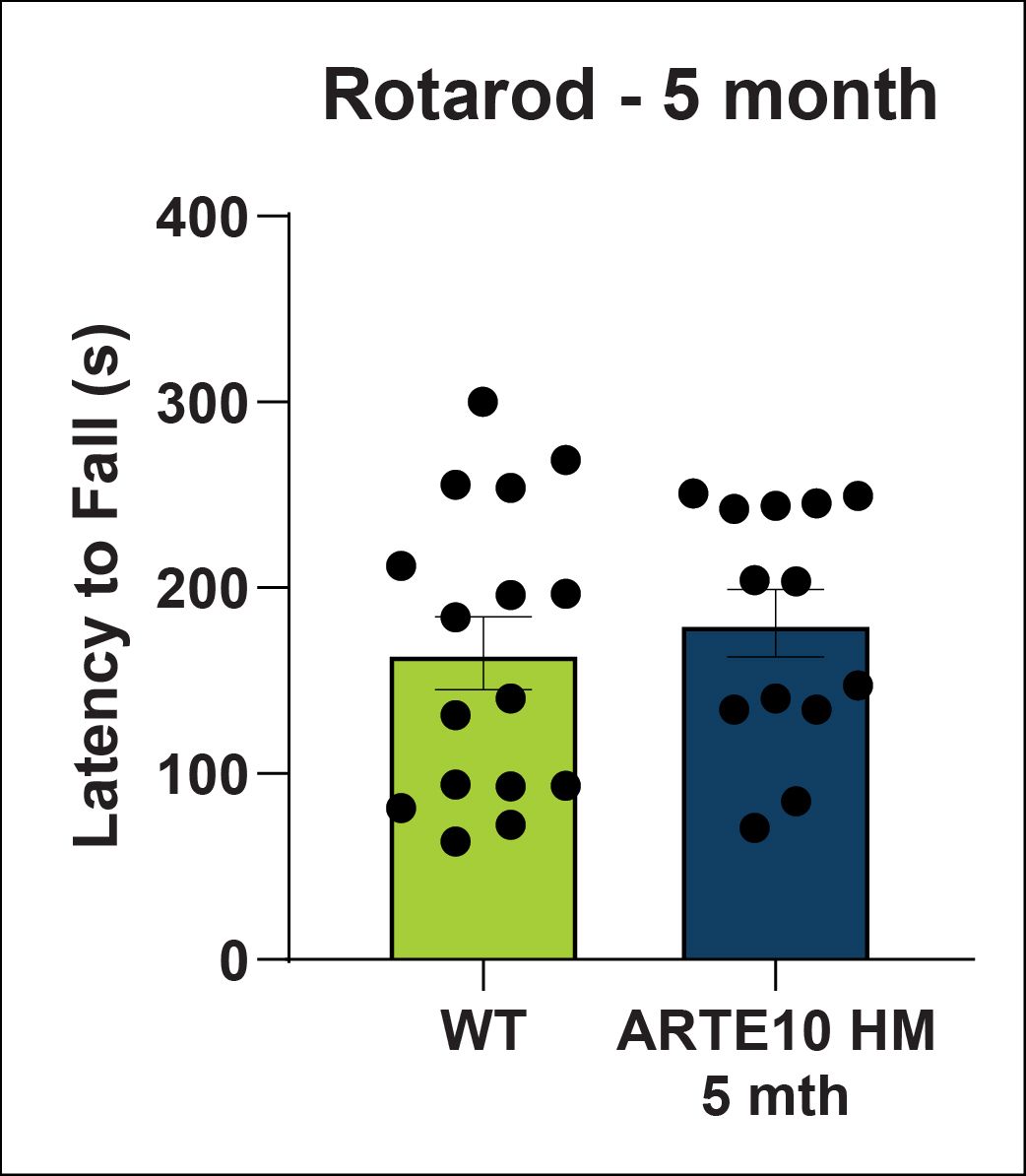 Rotarod - 5 month