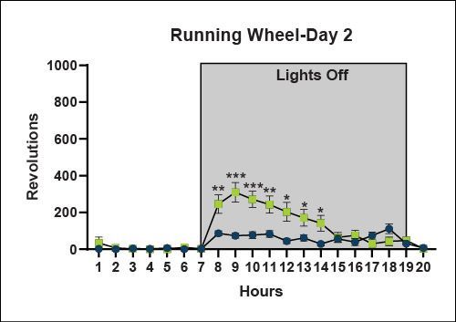 Running Wheel - Day 2