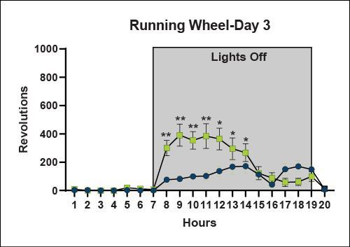 Running Wheel - Day 3