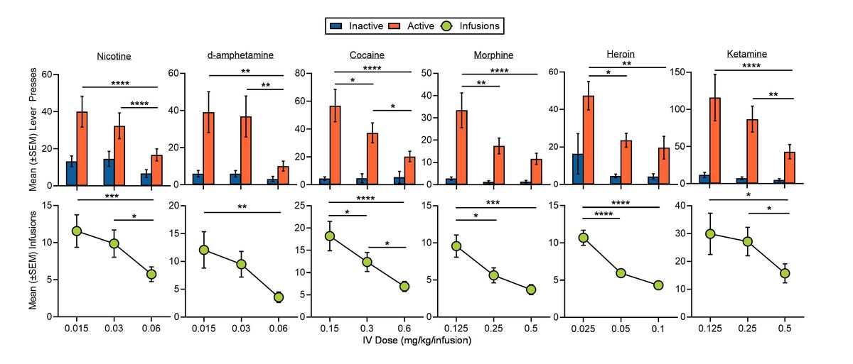 Dose-response chart showing IV reinforcer intake across different doses