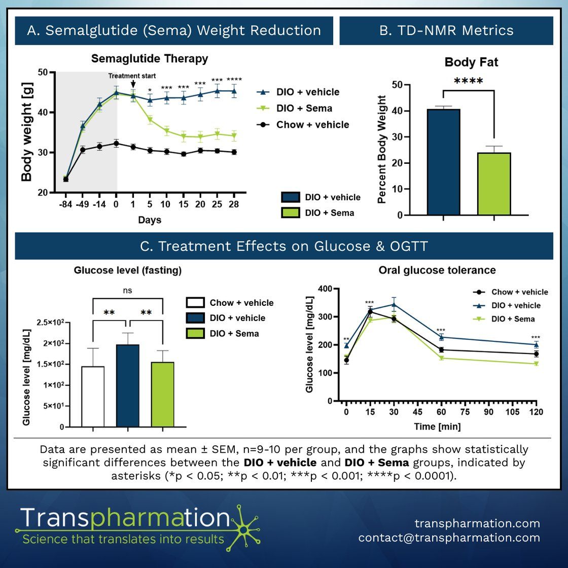 Semaglutide therapy results