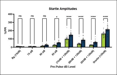 Start Amplitudes
