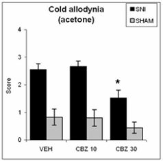 Tactile allodynia chart