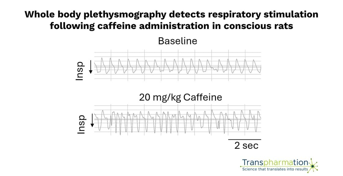 Whole body plethysmography detects respiratory stimulation following caffeine administration in conscious rats: graph shows inspiration (inhalation) of baseline versus increased inspiration of rats dosed with 20 mg/kg of caffeine.