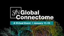 Society for Neuroscience (SfN) digital event 11-13th January 2021
